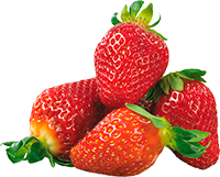 Fresas