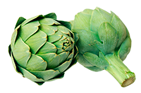 Alcachofa